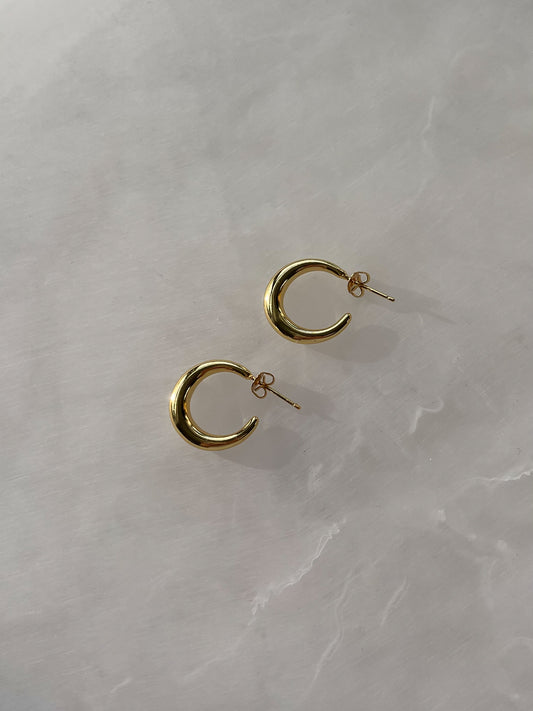 Crescent Earrings